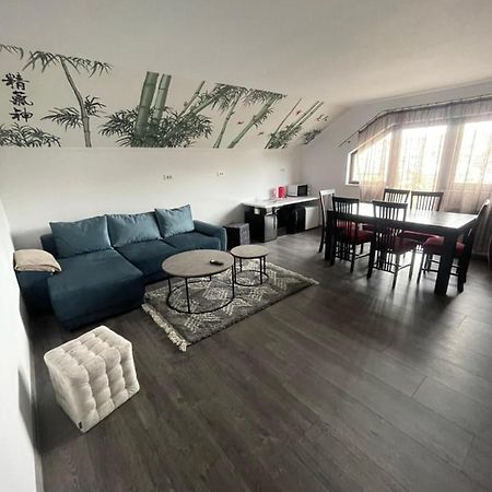 苏恰瓦Eroilor II Apartament公寓 外观 照片